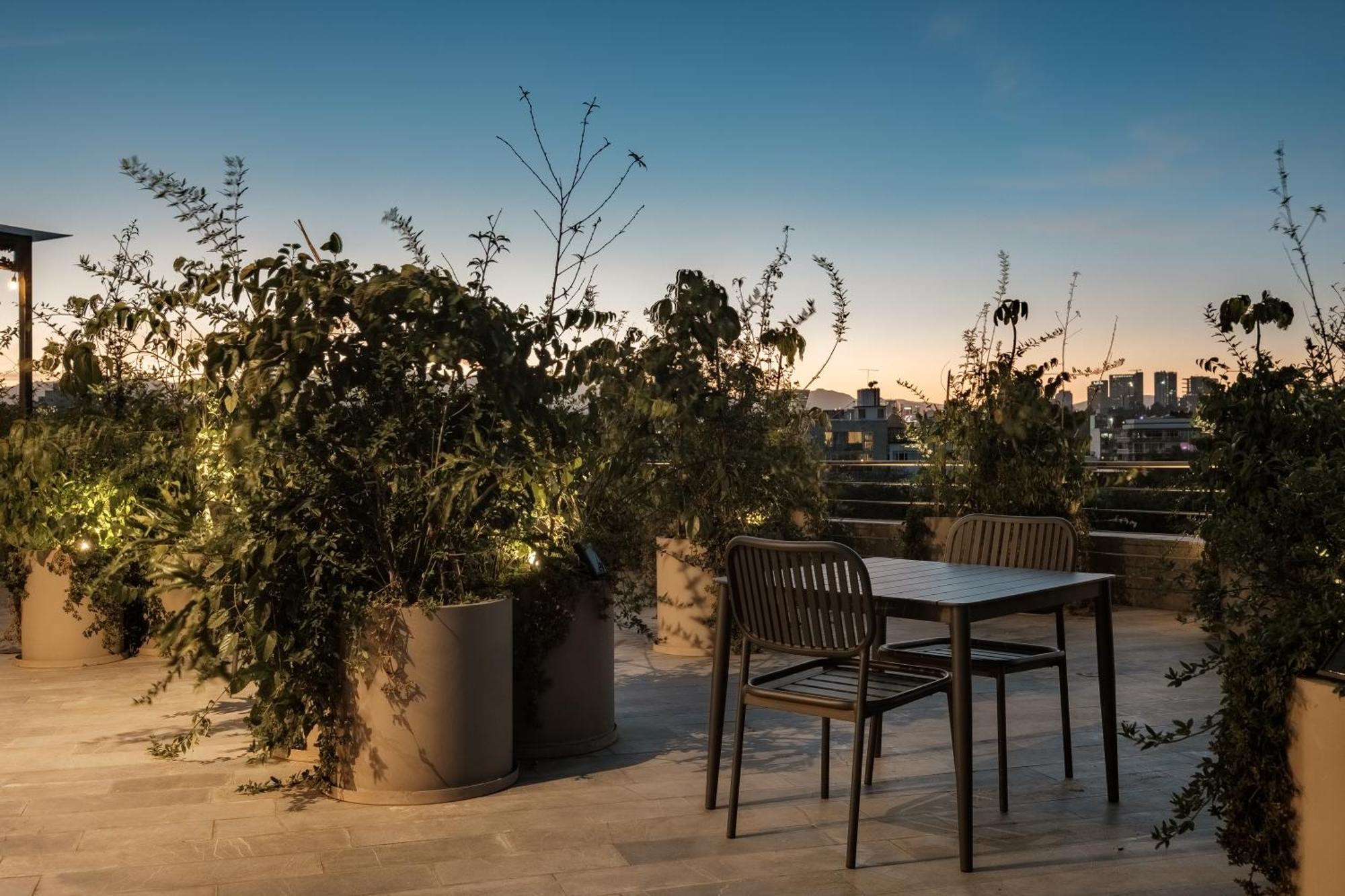 Nido Parque Mexico公寓式酒店 外观 照片